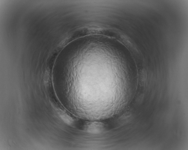 X0000081300463200701111429