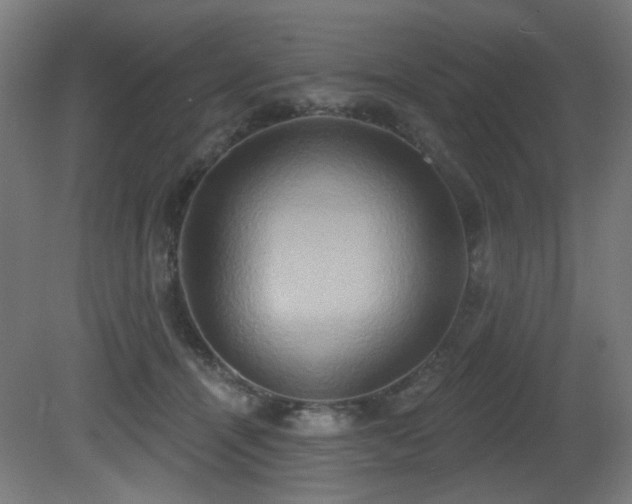 X0000081300464200701111429