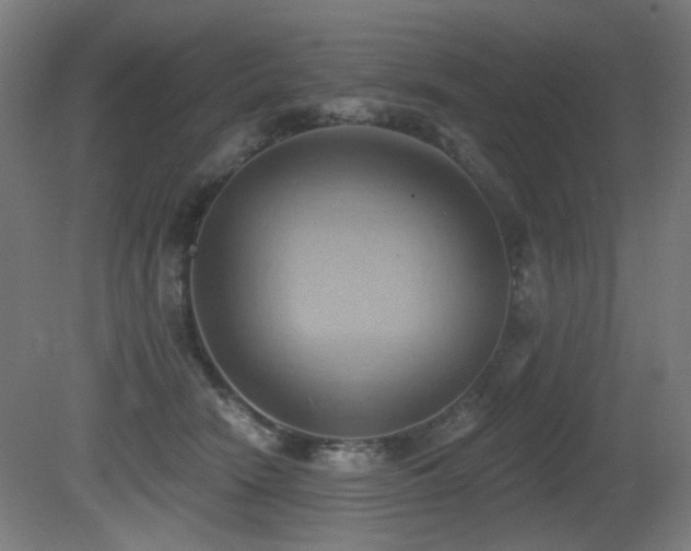X0000081300466200701111429