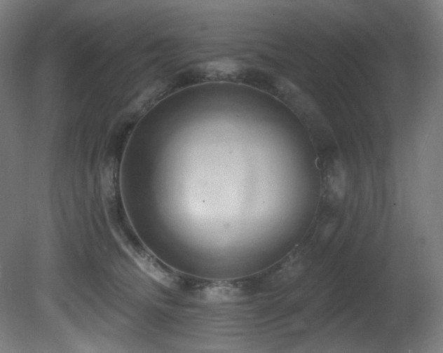 X0000081300468200701111429