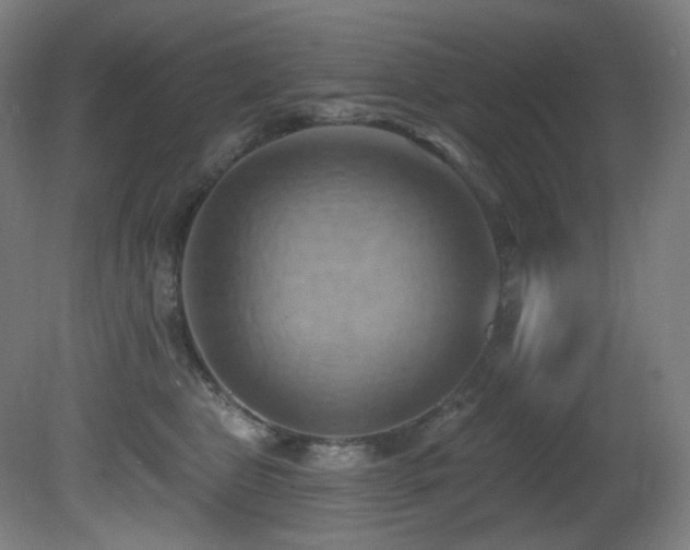 X0000081300469200701111429