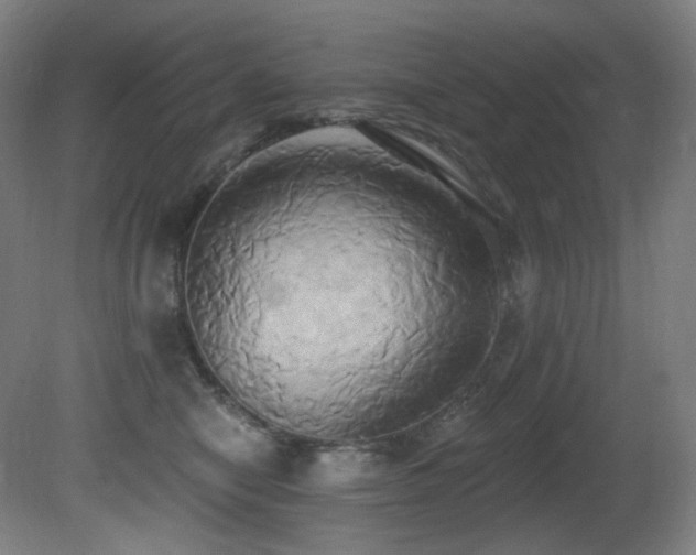 X0000081300470200701111429