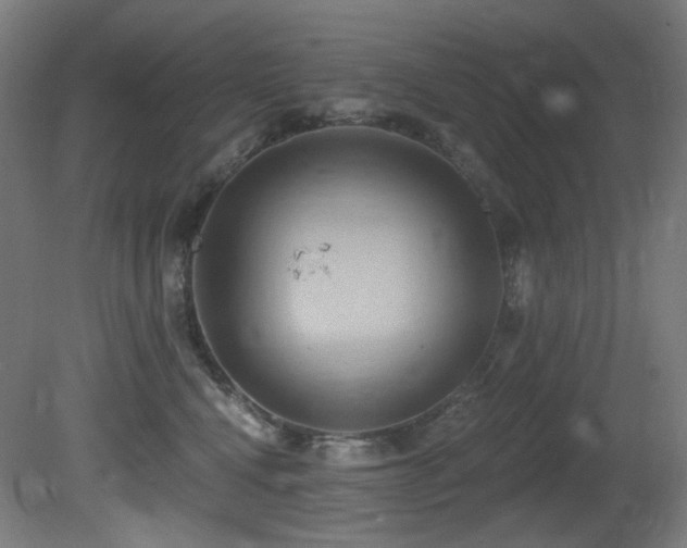 X0000081300472200701111429