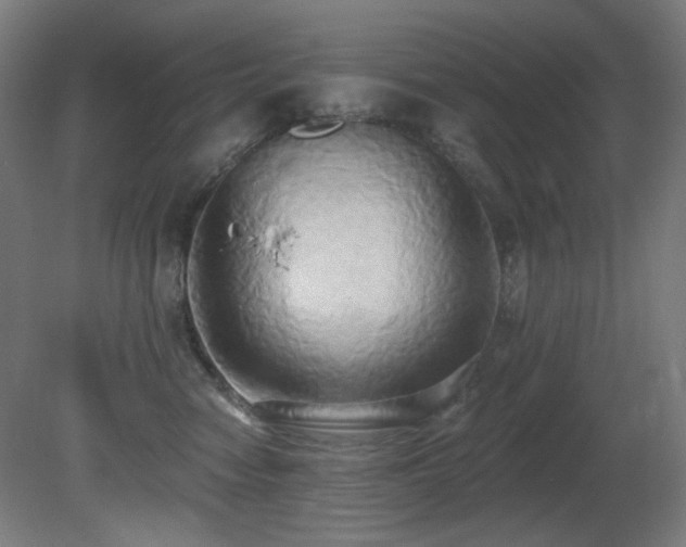 X0000081300474200701111429
