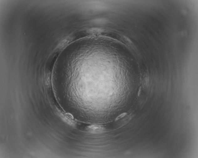 X0000081300477200701111429