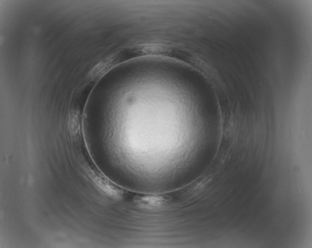 X0000081300478200701111429