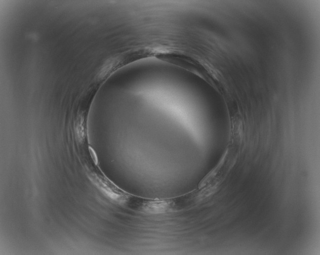 X0000081300479200701111429