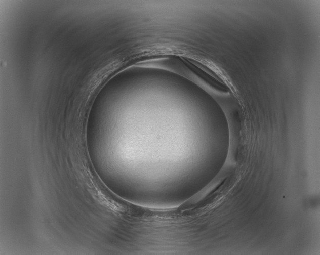 X0000081300481200701111428