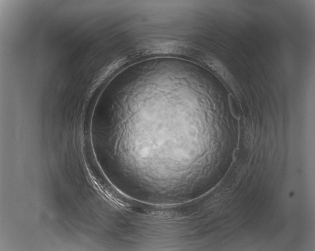 X0000081300482200701111428