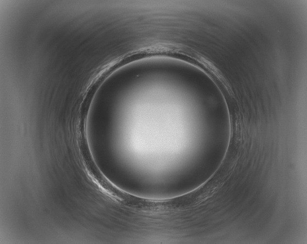 X0000081300485200701111428