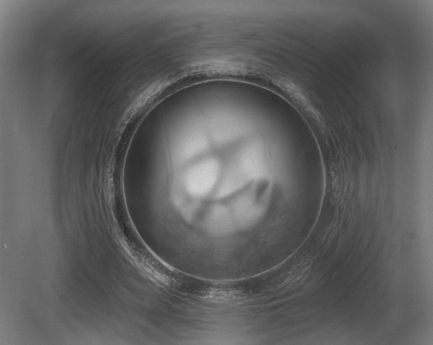 X0000081300487200701111428