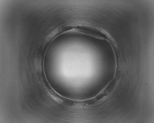 X0000081300489200701111428