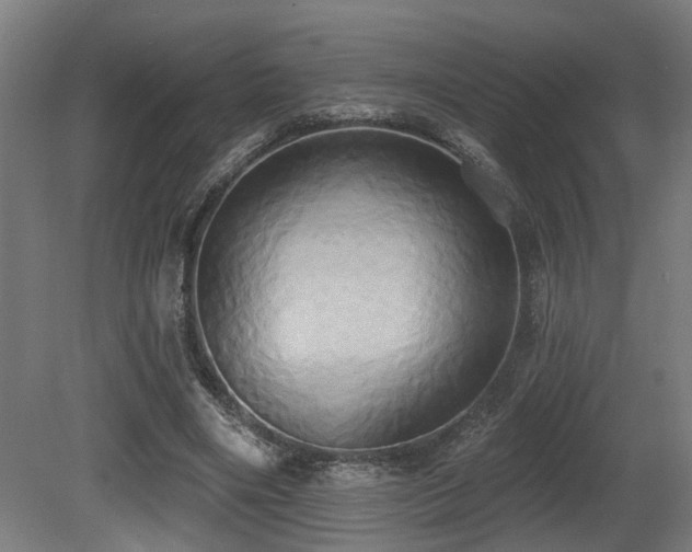 X0000081300490200701111428