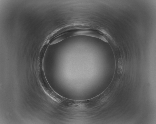 X0000081300492200701111428