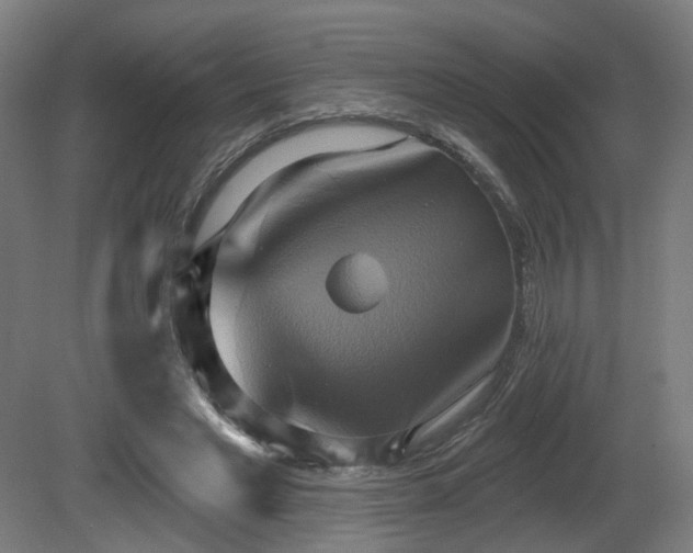 X0000081300493200701111428