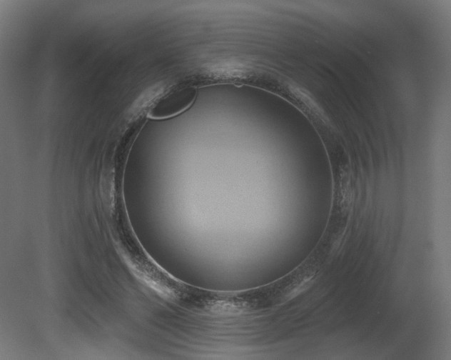 X0000081300494200701111428