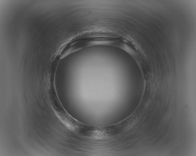 X0000081300496200701111428