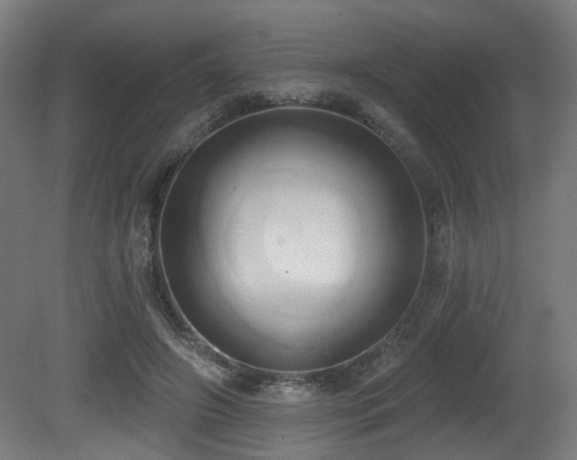 X0000081300498200701111428