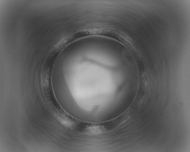 X0000081300499200701111428