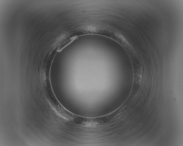 X0000081300500200701111428