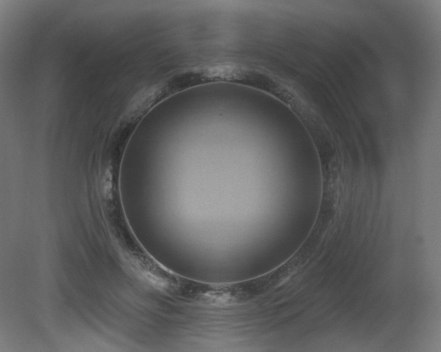X0000081300502200701111428