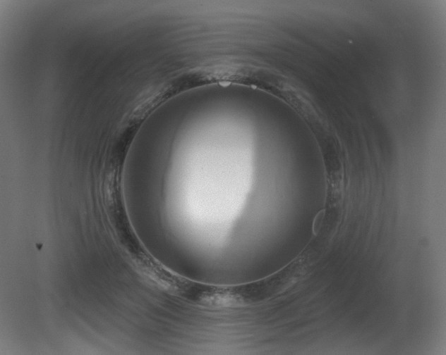 X0000081300503200701111428