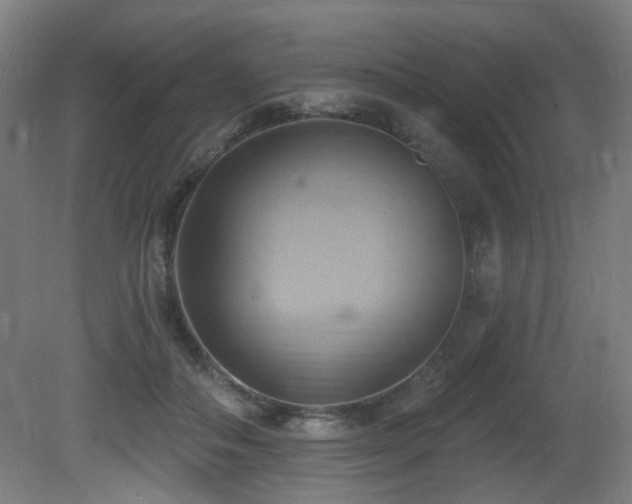 X0000081300506200701111428
