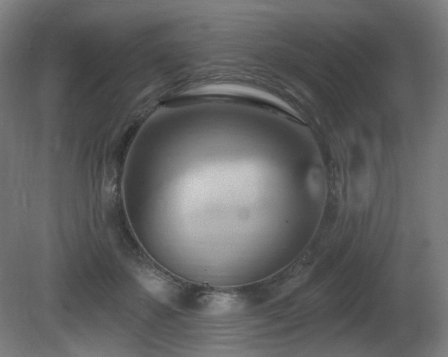 X0000081300507200701111428