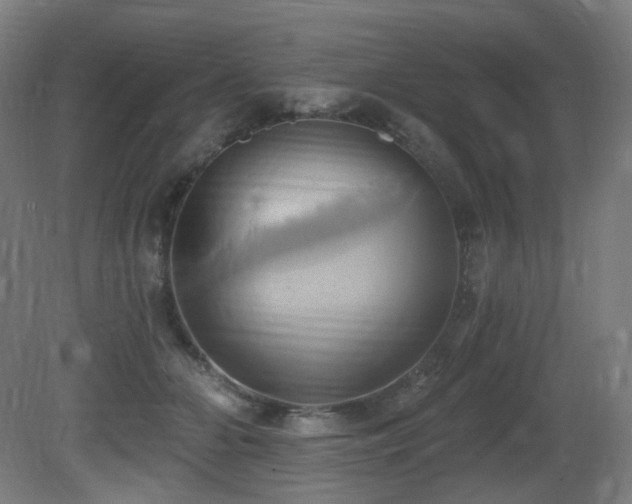 X0000081300510200701111428