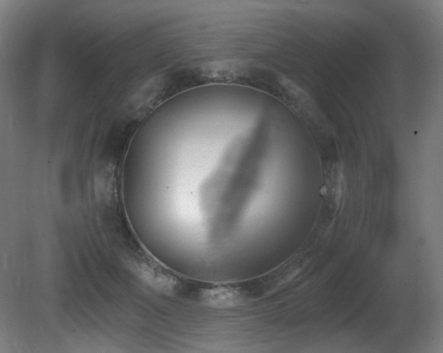 X0000081300511200701111428