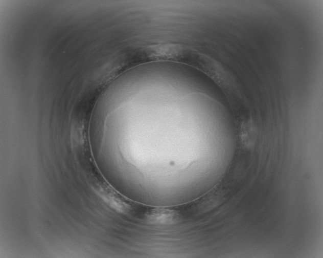 X0000081300514200701111428