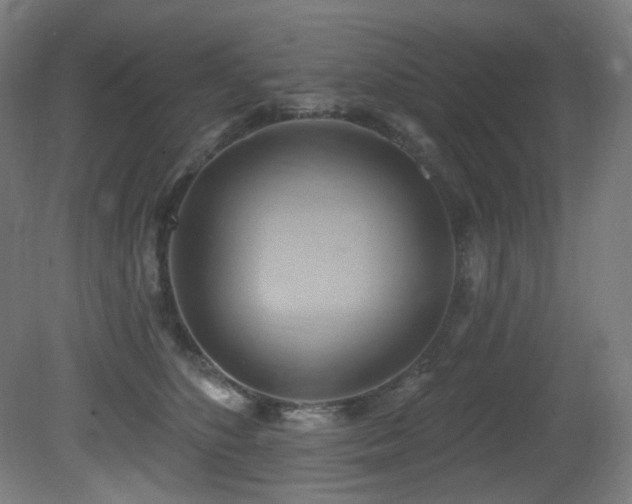 X0000081300516200701111428