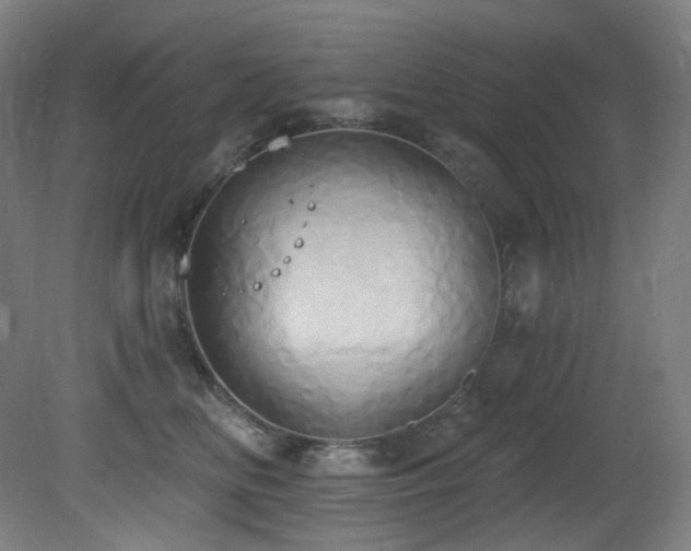 X0000081300518200701111428