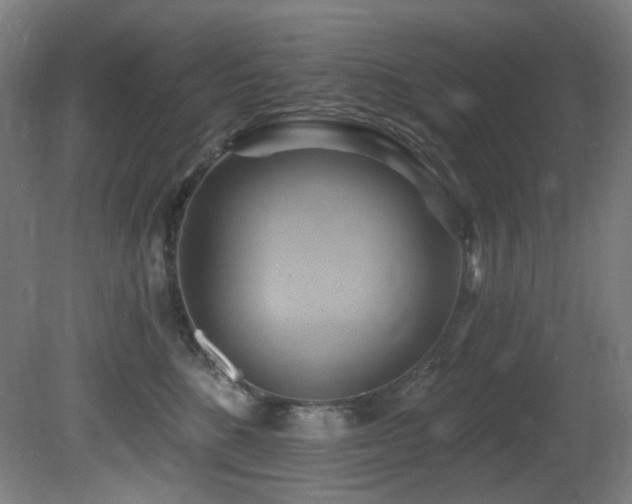 X0000081300520200701111428