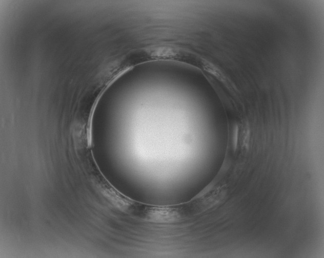 X0000081300521200701111428