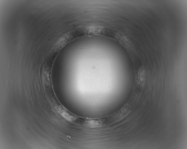 X0000081300522200701111428