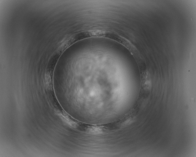 X0000081300523200701111428