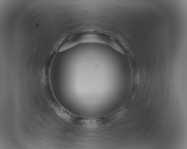 X0000081300524200701111428