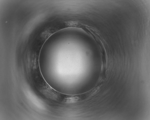 X0000081300525200701111428