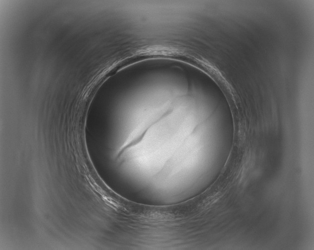 X0000081300529200701111427
