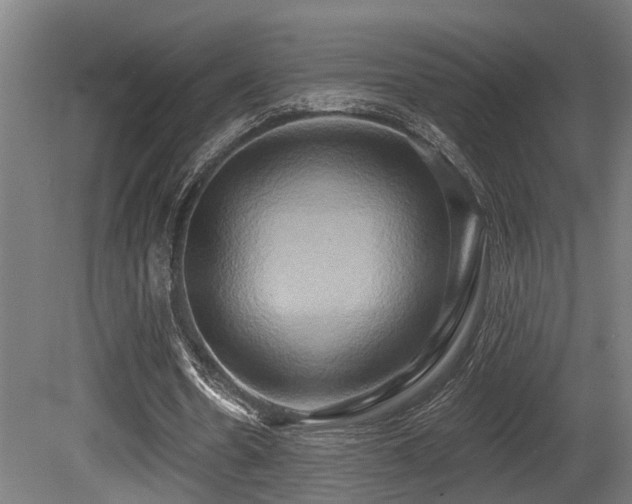 X0000081300530200701111427