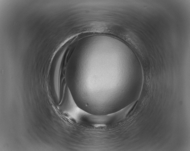 X0000081300532200701111427