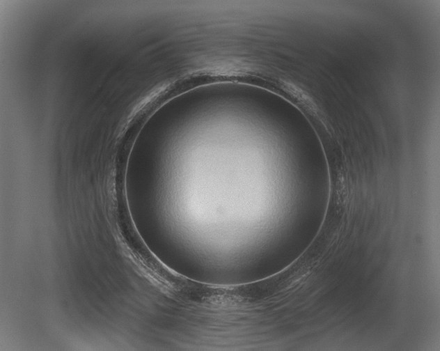 X0000081300535200701111427