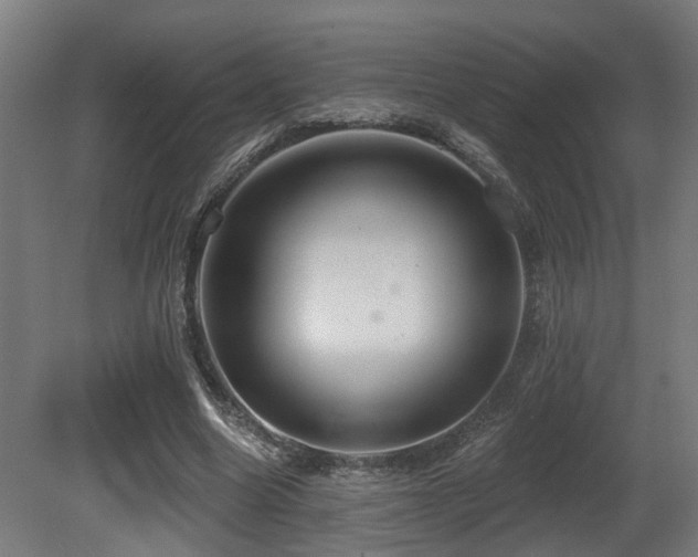 X0000081300538200701111427