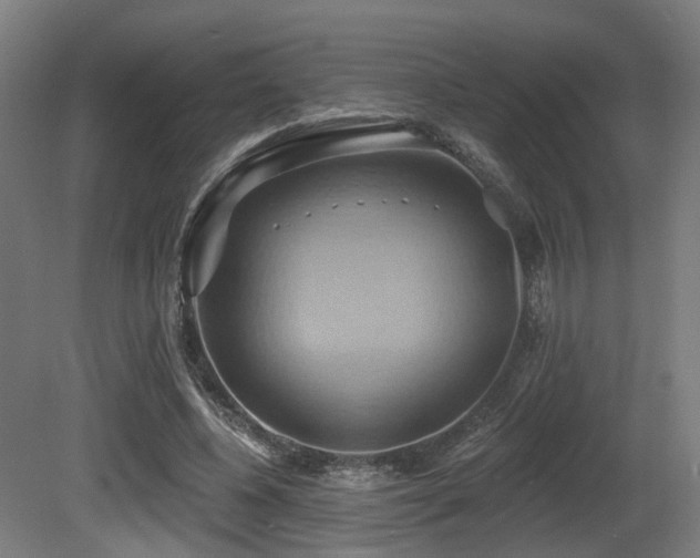 X0000081300540200701111427