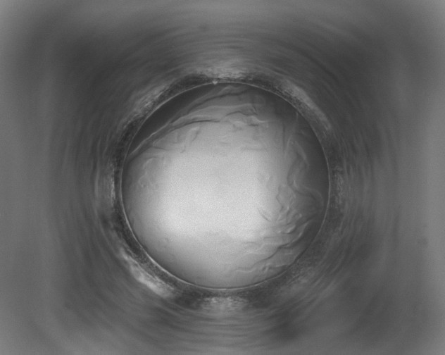 X0000081300541200701111427