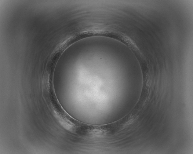X0000081300542200701111427