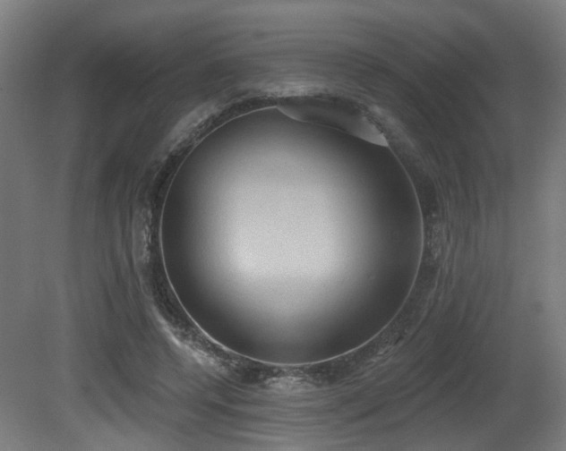 X0000081300544200701111427