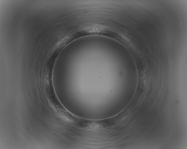 X0000081300547200701111427
