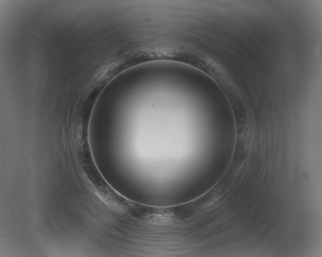 X0000081300548200701111427